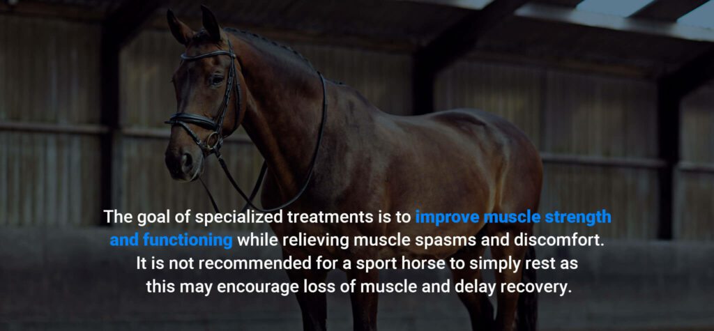 How to Manage Back Pain in Sport Horses
