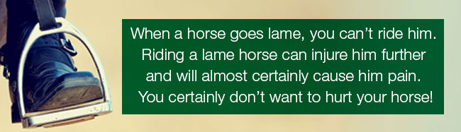 do not ride a lame horse