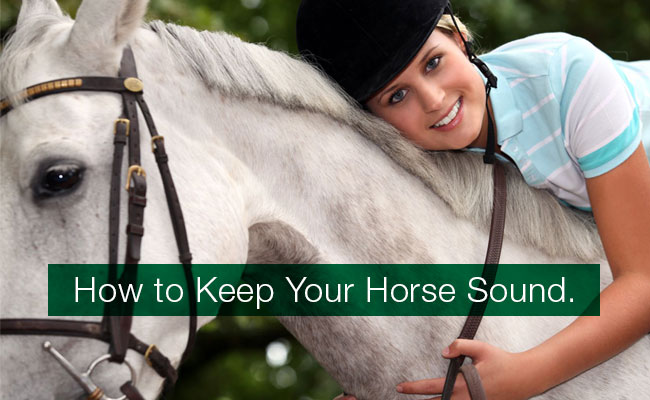 10 Tips on How to Prevent Lameness in Horses featured image