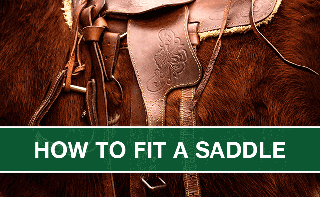 Fitting a Horse Saddle featured image