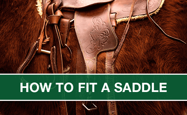 You've got a saddle seat. But how does it work?