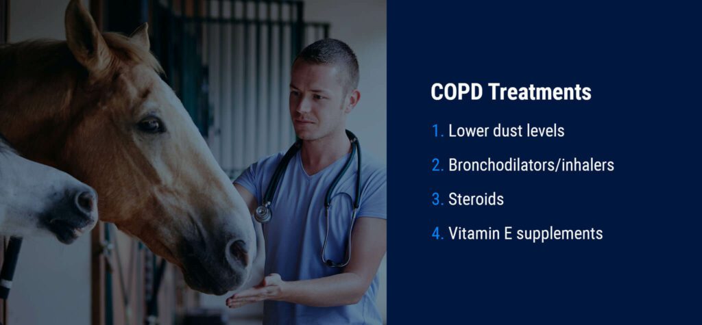 Common COPD Treatment for Horses