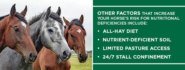 Top Horse Deficiency Factors
