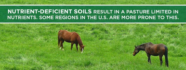 poor soil cause for horse nutrient deficiency 
