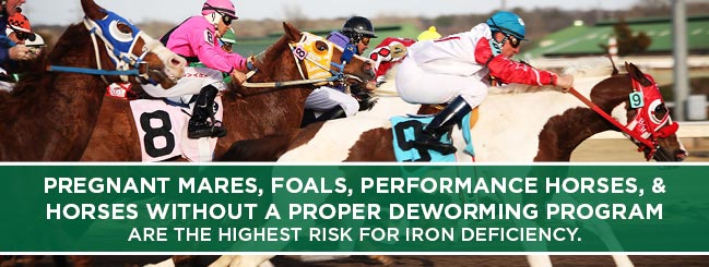 lack of deworming increases risk of iron loss in horses