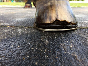 Horse's hoof before Integri-Hoof