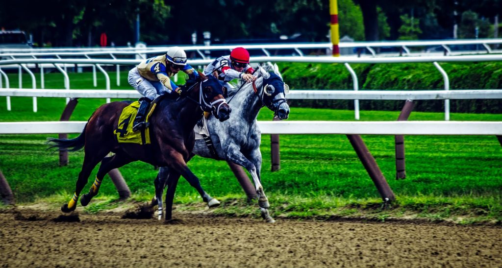 Race horses competing for first place