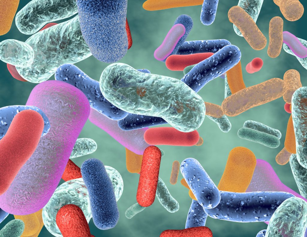 3D model of beneficial healthy intestinal bacterium