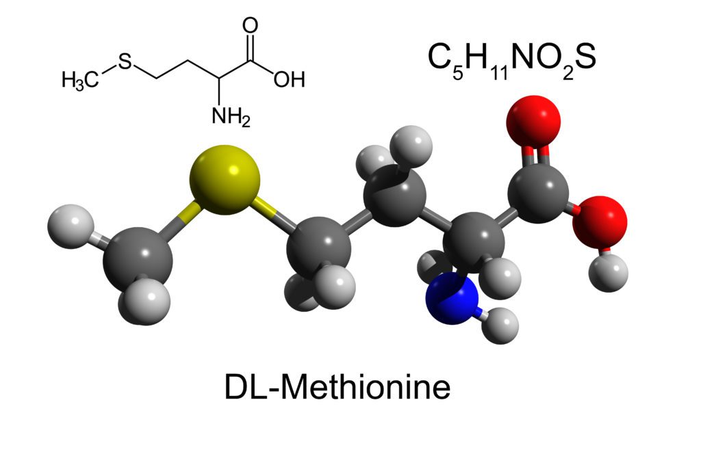 3D ball-and-stick model of Methionine on a white background