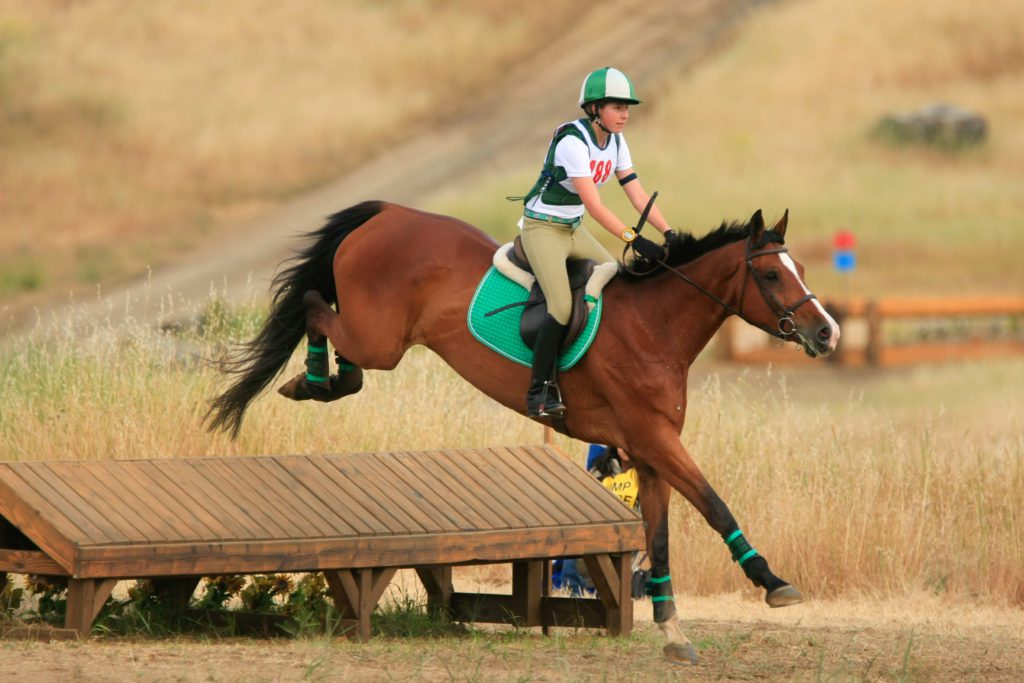 an equestrian rider clears an obstacle on the cross country course.