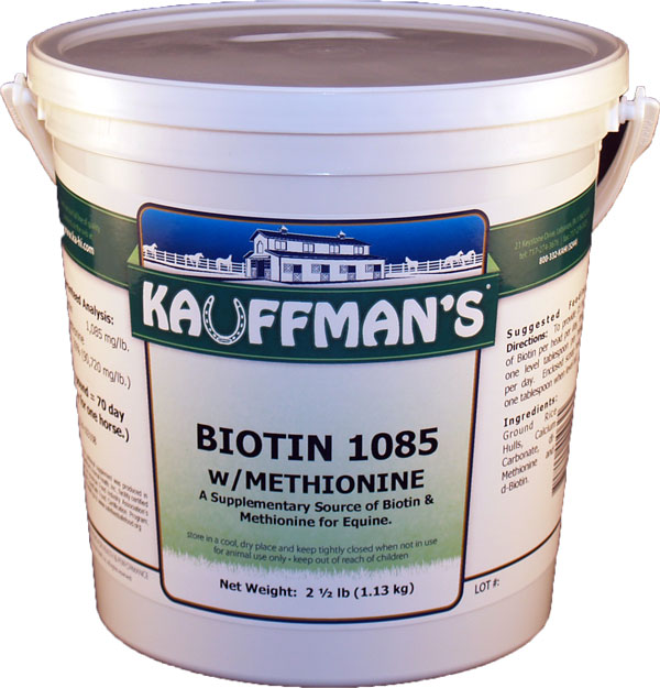 Biotin 1085 with Methionine | Equine Supplement