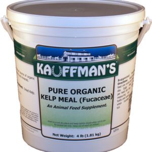 Kauffman's Pure Organic Kelp Meal (Fucaceae) 4 lb bucket