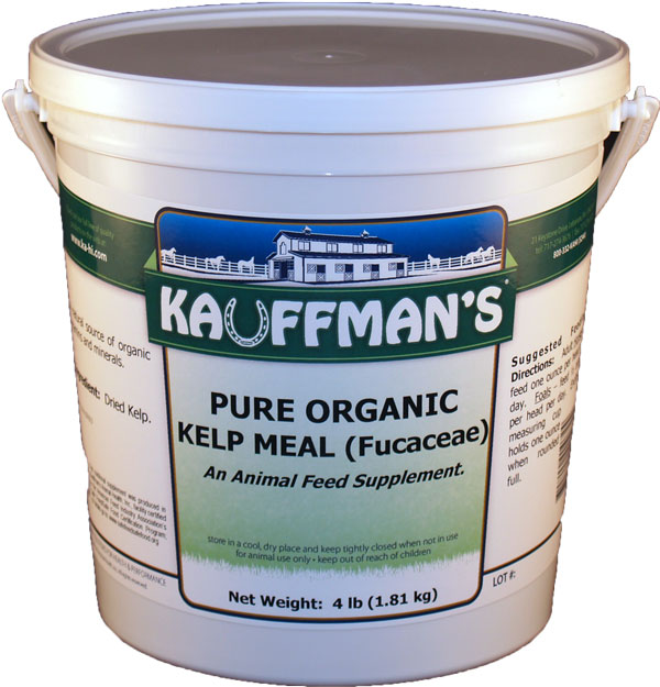 Kauffman's Pure Organic Kelp Meal (Fucaceae) 4 lb bucket